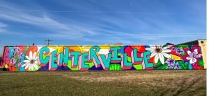 Custom-Closets-in-Centerville,-Ohio-wall-mural